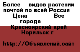 Более200 видов растений почтой по всей России › Цена ­ 100-500 - Все города  »    . Красноярский край,Норильск г.